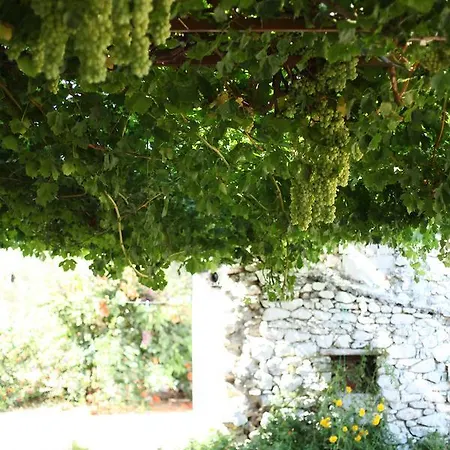 Bed & Breakfast Meltem Datca