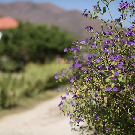 Meltem Datca Bed & Breakfast Mesudiye (Datca)