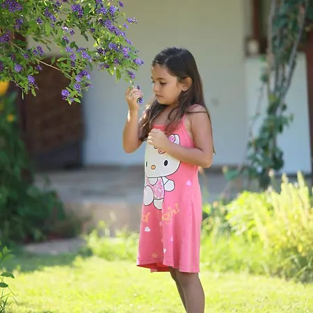 Bed & Breakfast Meltem Datca Mesudiye (Datca)