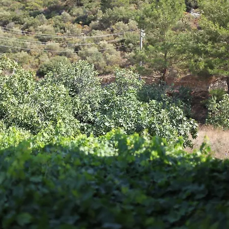 Meltem Datca Bed & Breakfast *