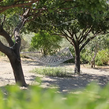 Meltem Datca Bed & Breakfast *