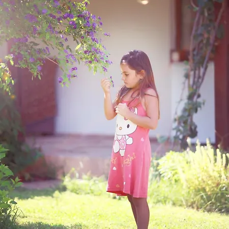 Meltem Datca Bed & Breakfast *