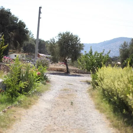 Meltem Datca Bed & Breakfast *