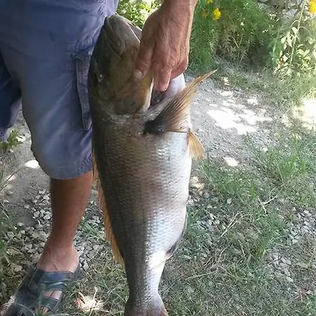 Meltem Datca Отель типа 