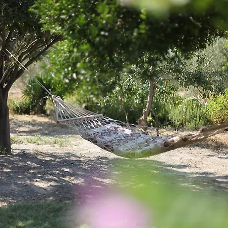 Meltem Datca לינה וארוחת בוקר