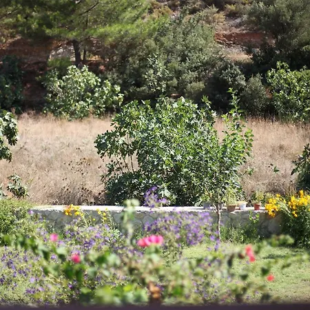 Meltem Datca לינה וארוחת בוקר Mesudiye (Datca)