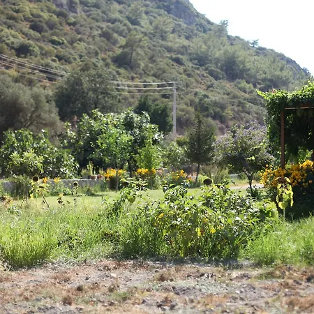 Meltem Datca * Mesudiye (Datca)