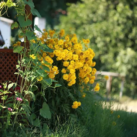 Meltem Datca לינה וארוחת בוקר *